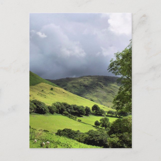 VIEWS OF WALES POSTCARD (Front)