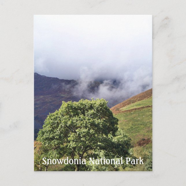 VIEWS OF WALES POSTCARD (Front)