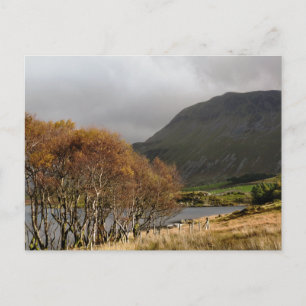 VIEWS OF WALES POSTCARD