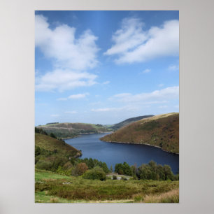 VIEWS OF WALES POSTER