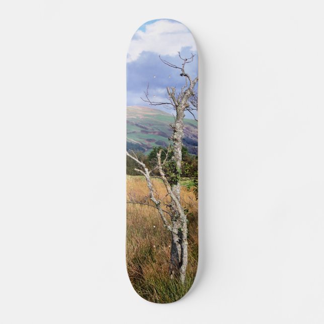 VIEWS OF WALES SKATEBOARD (Front)