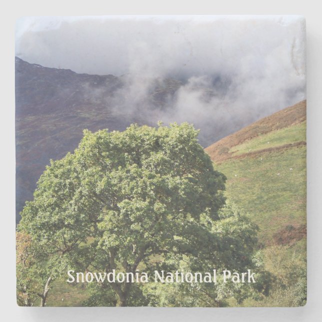 VIEWS OF WALES STONE COASTER (Front)