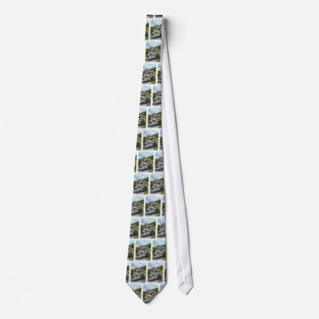 VIEWS OF WALES TIE (Front)