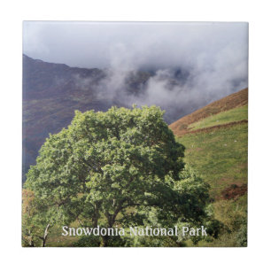 VIEWS OF WALES TILE