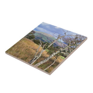 VIEWS OF WALES TILE