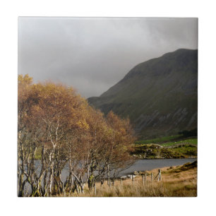 VIEWS OF WALES TILE