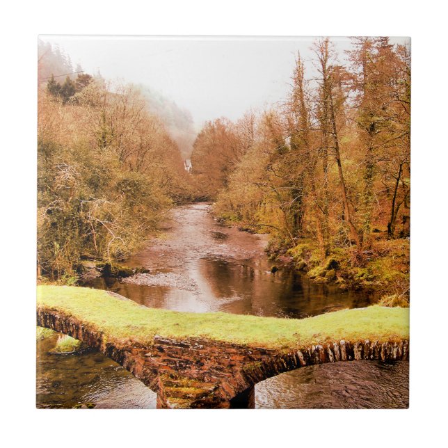 VIEWS OF WALES TILE (Front)