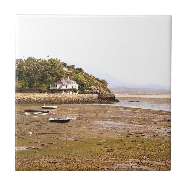 VIEWS OF WALES TILE (Front)