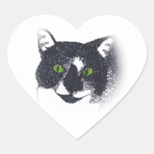 Vignette of Tuxedo Cat Face Stickers
