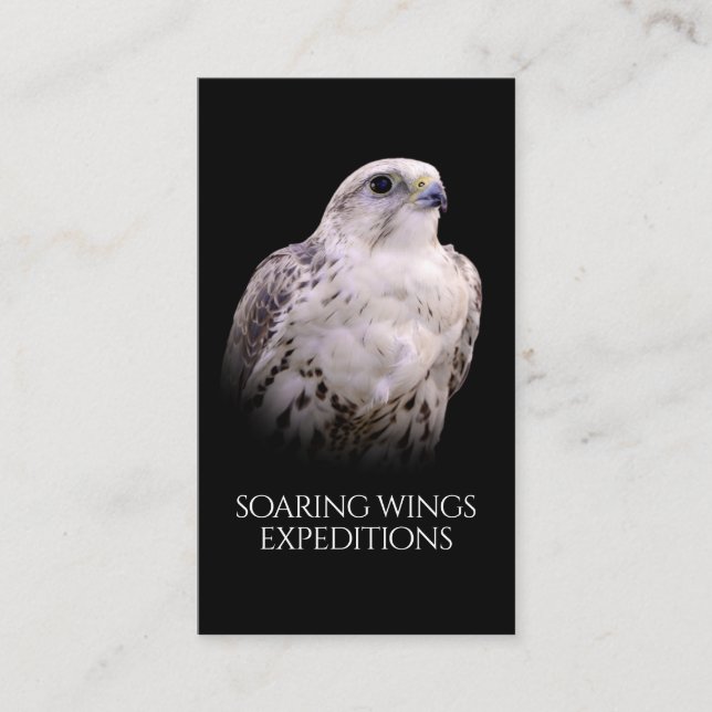 Vignetted Portrait of an Inquisitive Saker Falcon Business Card (Front)