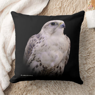 Vignetted Portrait of an Inquisitive Saker Falcon Cushion