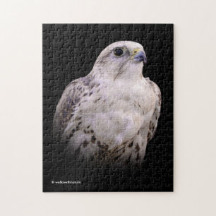 Vignetted Portrait of an Inquisitive Saker Falcon Jigsaw Puzzle