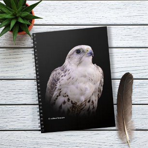 Vignetted Portrait of an Inquisitive Saker Falcon Notebook