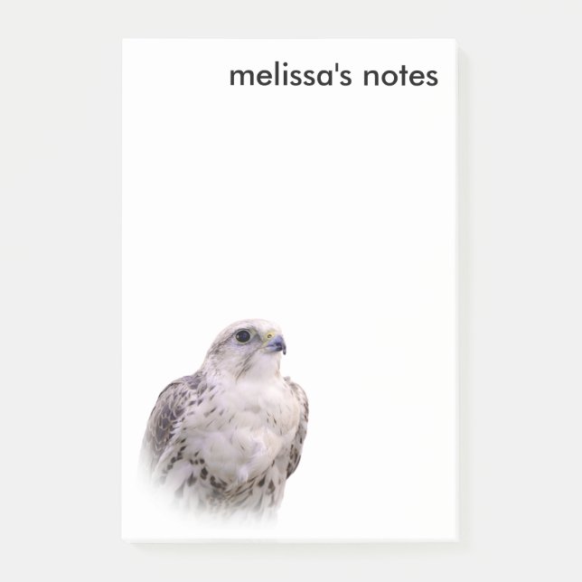 Vignetted Portrait of an Inquisitive Saker Falcon Post-it Notes (Front)