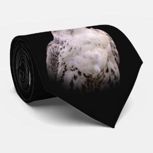 Vignetted Portrait of an Inquisitive Saker Falcon Tie