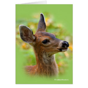 Vignetted Portrait of Smiling Blacktail Deer Fawn 