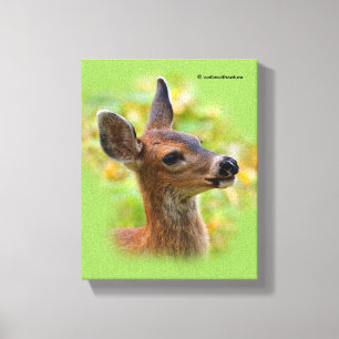 Vignetted Portrait of Smiling Blacktail Deer Fawn  Canvas Print