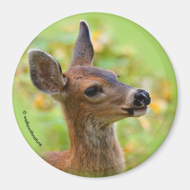 Vignetted Portrait of Smiling Blacktail Deer Fawn  Magnet (Front)