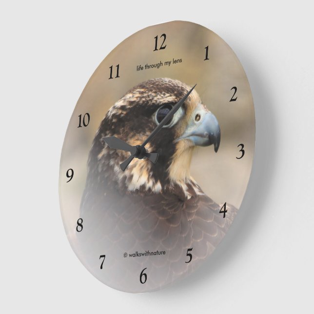 Vignetted Profile of a Peregrine Falcon Large Clock (Angle)
