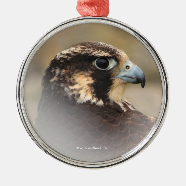 Vignetted Profile of a Peregrine Falcon Metal Tree Decoration (Front)