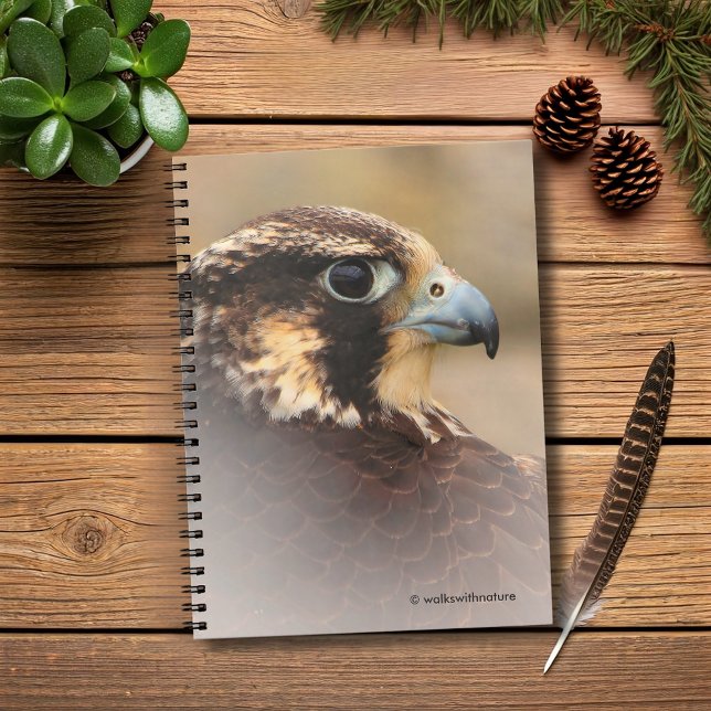 Vignetted Profile of a Peregrine Falcon Notebook (Vignetted Profile of a Peregrine Falcon Journal Cover Photo)