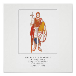 Viking King Harald Bluetooth Poster