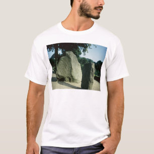 Viking rune stones T-Shirt