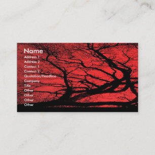 Viking Sky Business Card