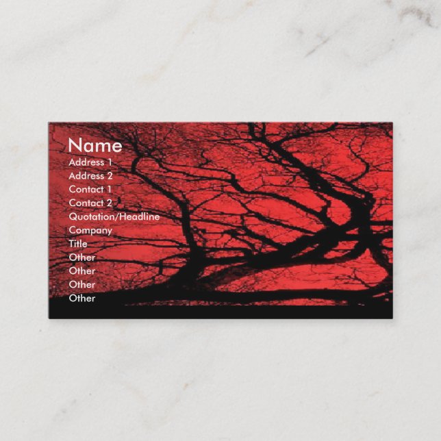 Viking Sky Business Card (Front)