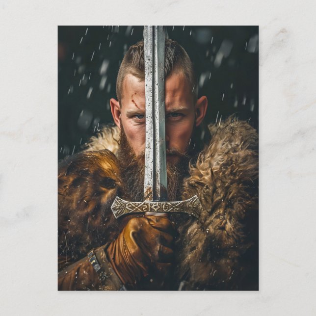 Viking Warrior in Authentic Attire Postcard (Front)
