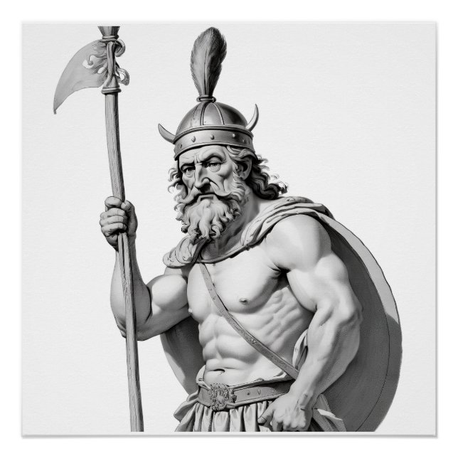 Viking warrior. poster (Front)