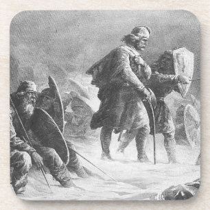 Vikings in Battle Coaster