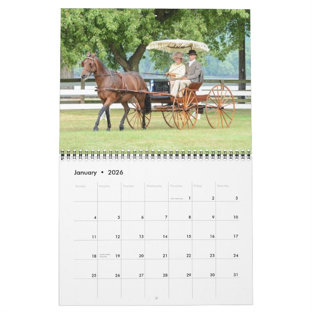 Villa Louis Carriage Classic 2015 Calendar (Jan 2026)