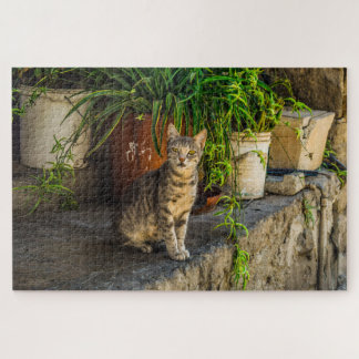 village cat puzzle