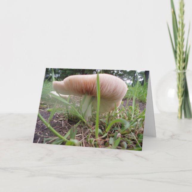 "Village Mushroom #2" Easter Card (Front)