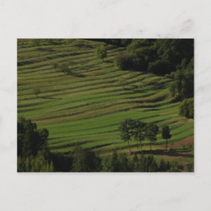 Village of Prem, Brkini Hills, Slovenia Postcard