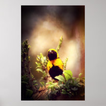 Village Weaver