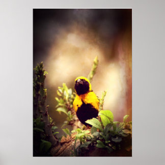 Village Weaver Poster