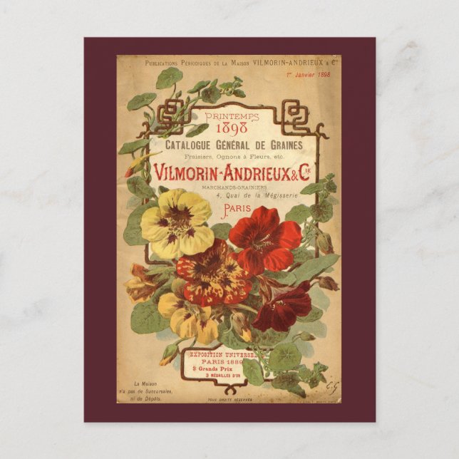 Vilmorin-Andrieux & Co. Seed Catalogue Ad Postcard (Front)
