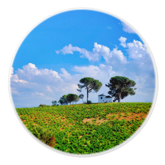Viña de Los Pinos Ceramic Knob