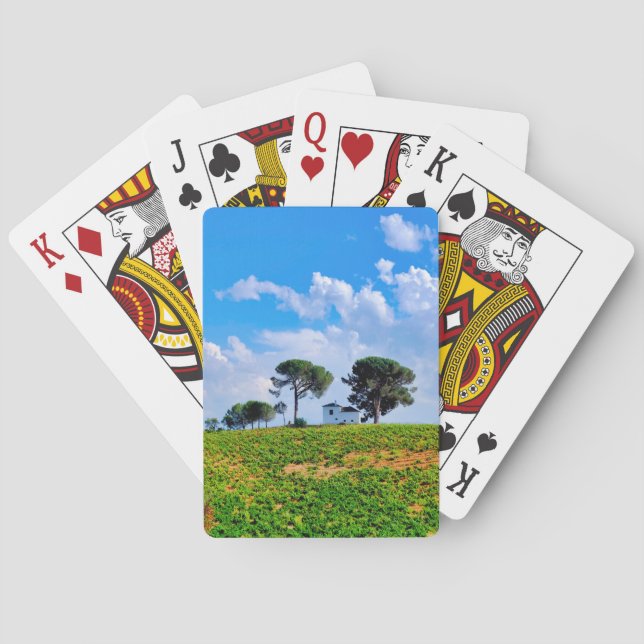 Viña de Los Pinos Playing Cards (Back)