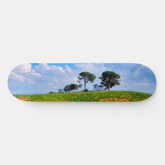 Viña de Los Pinos Skateboard