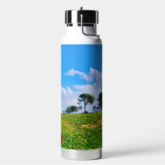 Viña de Los Pinos Water Bottle