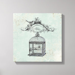 Vinage French Birdcage and bird stretched canvas Print