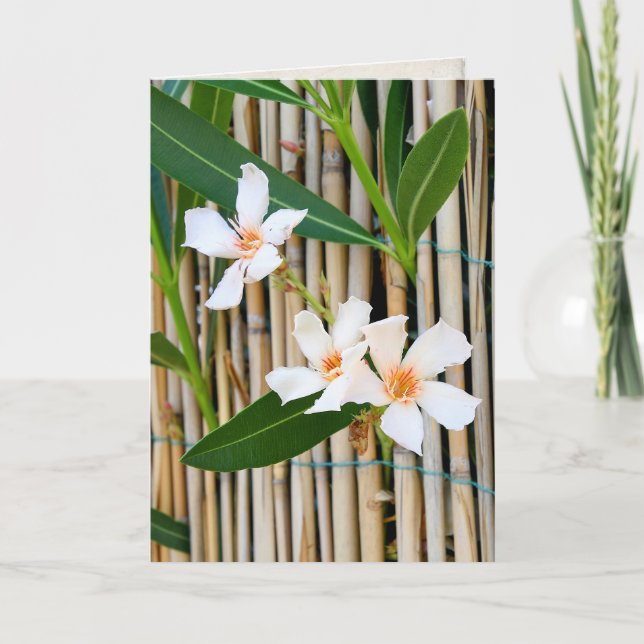 Vinca flower on bamboo fence card (Front)