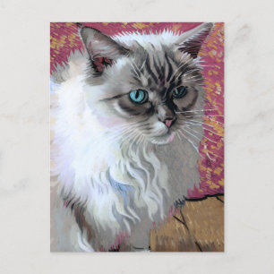 Vincent Cat Gogh Postcard