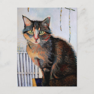 Vincent Cat Gogh Postcard