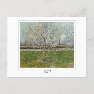 Vincent Van Gogh #20-3 - Fine Art Postcard