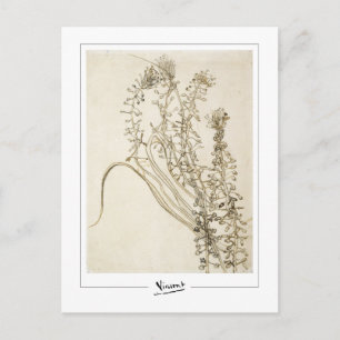 Vincent Van Gogh #356-3 - Fine Art Postcard