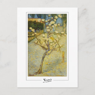 Vincent Van Gogh #37-2 - Fine Art Postcard